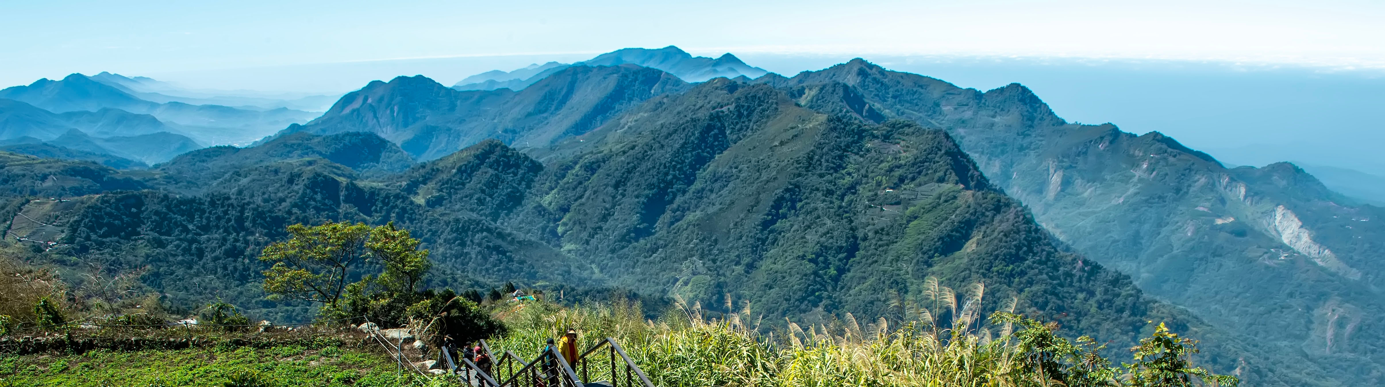 Taiwan - Green Unroasted Coffee