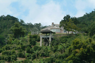 Clifton Mount estate house sitting the Jamaican Blue Mountains