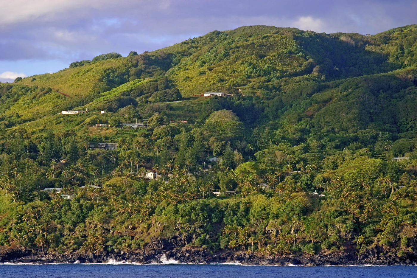 Pitcairn Island Coffee