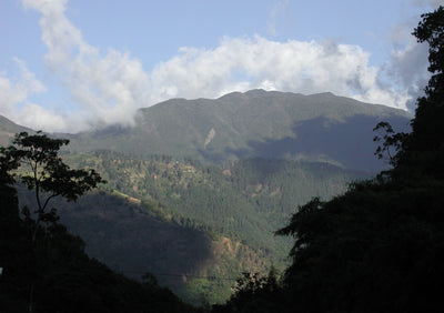 Scenic view of the Jamaica Blue Mountains on a sunny day