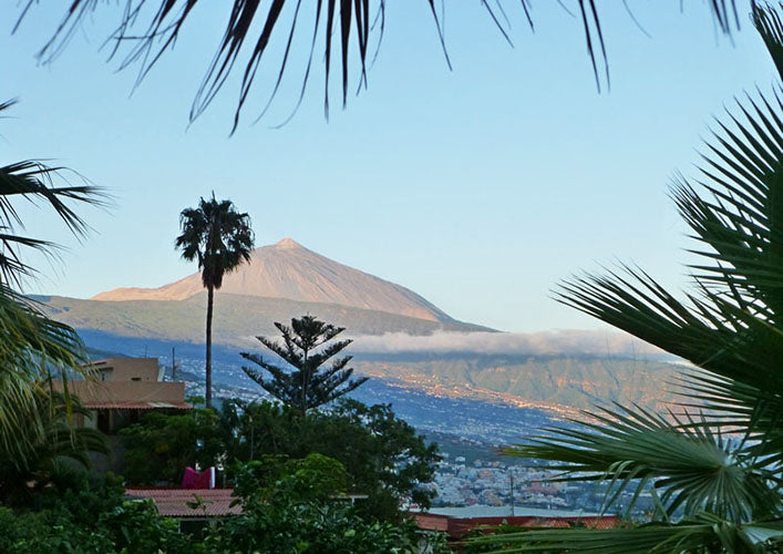 Finca La Corcovada, Canary Islands - Green Bean-Sea Island Coffee
