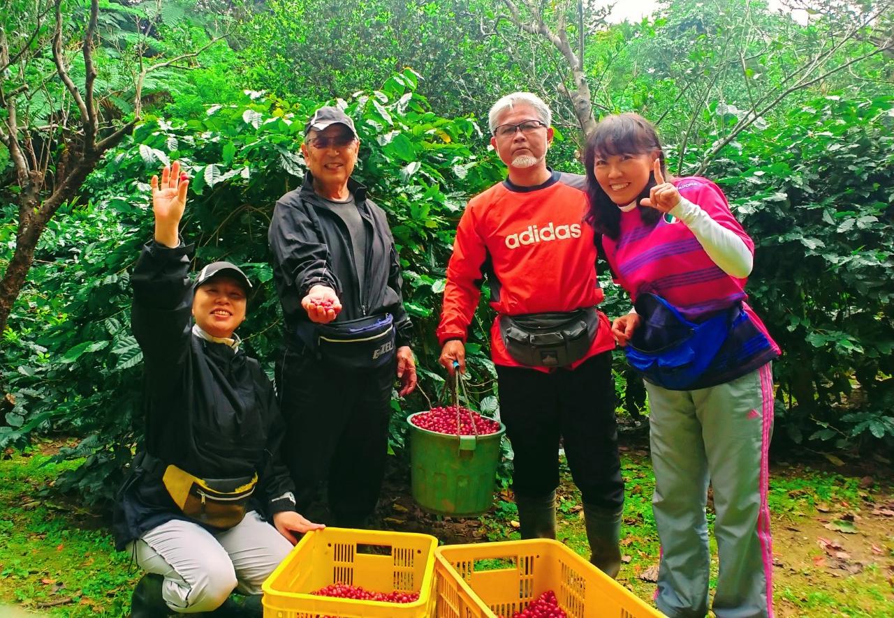 Japanese Single Origin Coffee Beans Okinawa Island