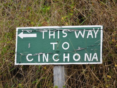 Sign leading to Cinchona estate in the Jamaican Blue Mountains