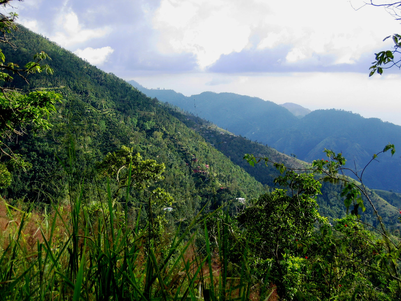 Landscape of the Blue Mountains in Jamaica