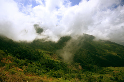 Landscape of the Blue Mountains surrounded by mist in Jamaica
