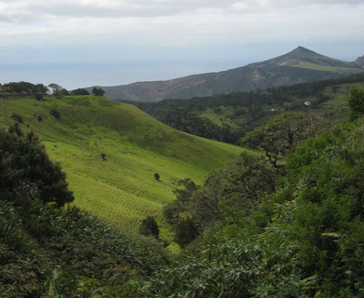 Landscape view of St Helena island