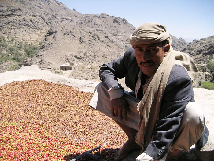 Haraz Mountains Mocha, Yemen Coffee