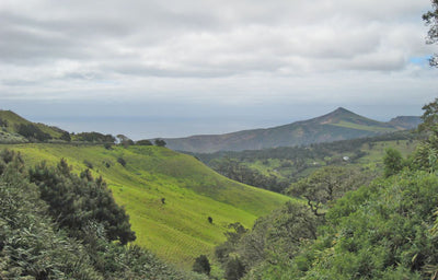 The Return to St Helena