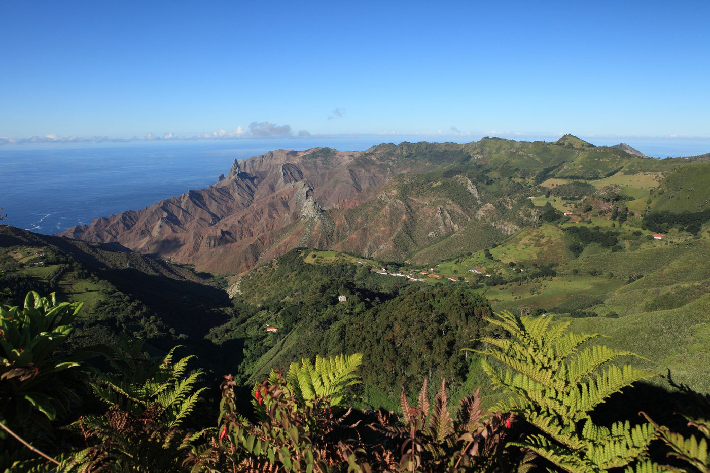 St Helena, Bamboo Hedge Estate