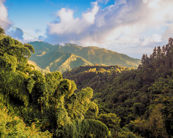Landscape of the Jamaican Blue Mountains