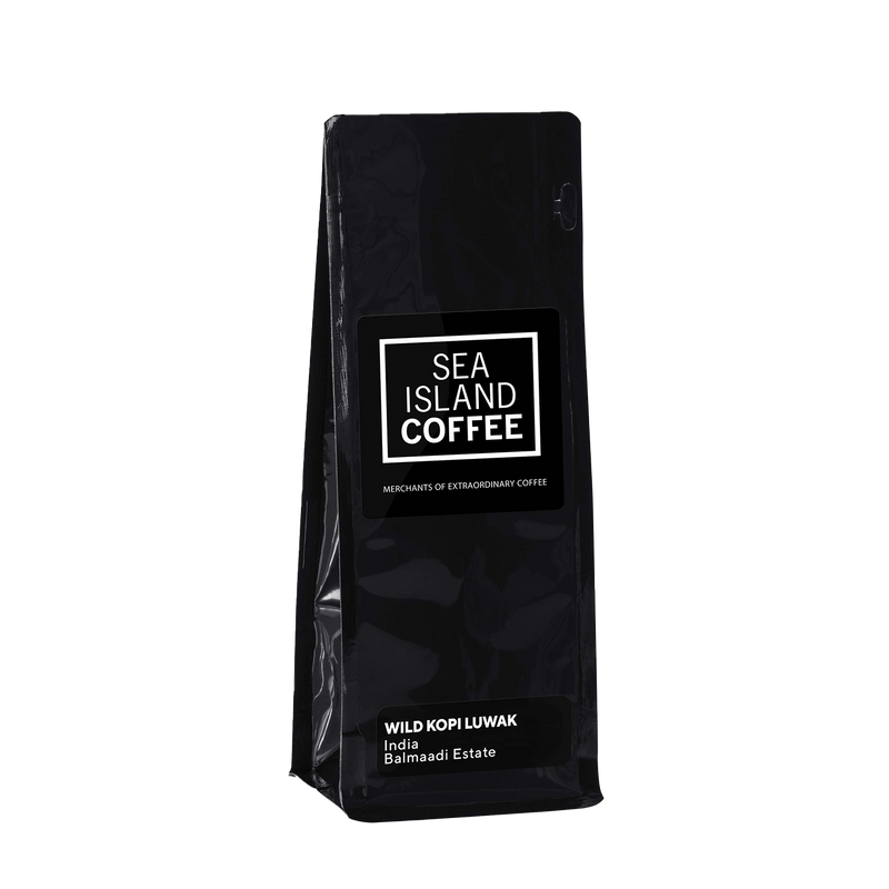 Wild Kopi Luwak, India