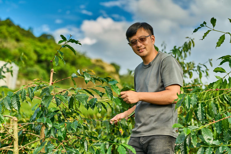 ICE LIQUID BEAN TOKYO exclusive ノベルティー付き ✨ICE LIQUID Bean Jelly G.I.D – Glossy & Frost Ver. ✨ シリーズ第