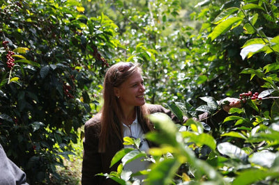 UNROASTED - Hacienda La Esmeralda - Cabaña Arriba, Panama