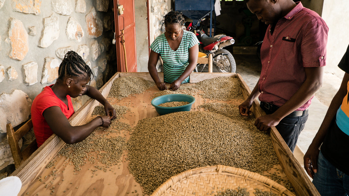 Haitian Roasted coffee