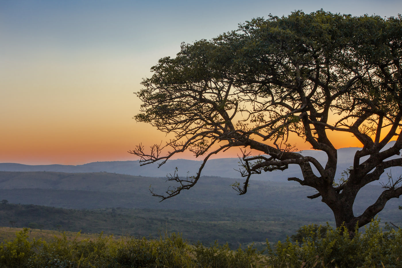 Landscape view of a sunset over South African wildlands