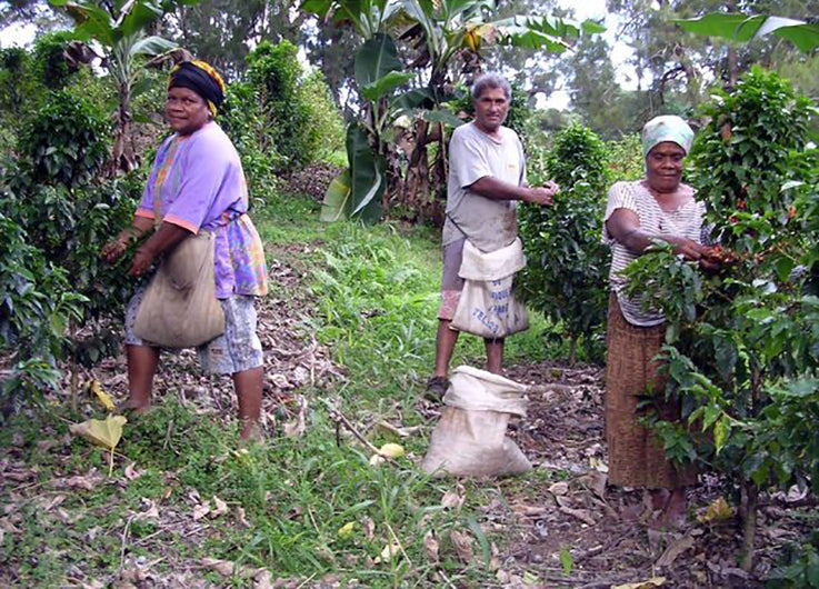 New Caledonia Coffee Growers