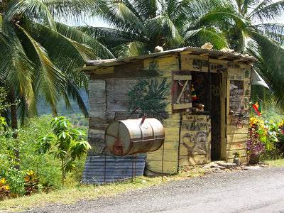Hut on the road leading up to Stoneleigh estate in the Jamaican Blue Mountains