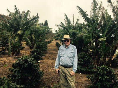 Man smiling next to some coffee plants in the Jamaica Blue Mountains