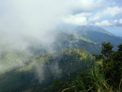 Scenery of the Jamaican Blue Mountains