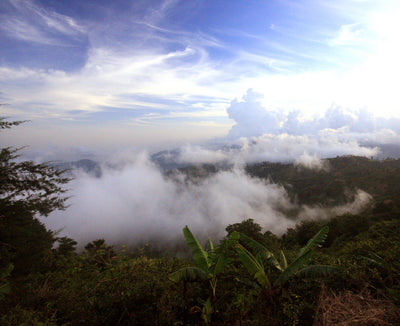 Misty view of the Jamaican Blue Mountains