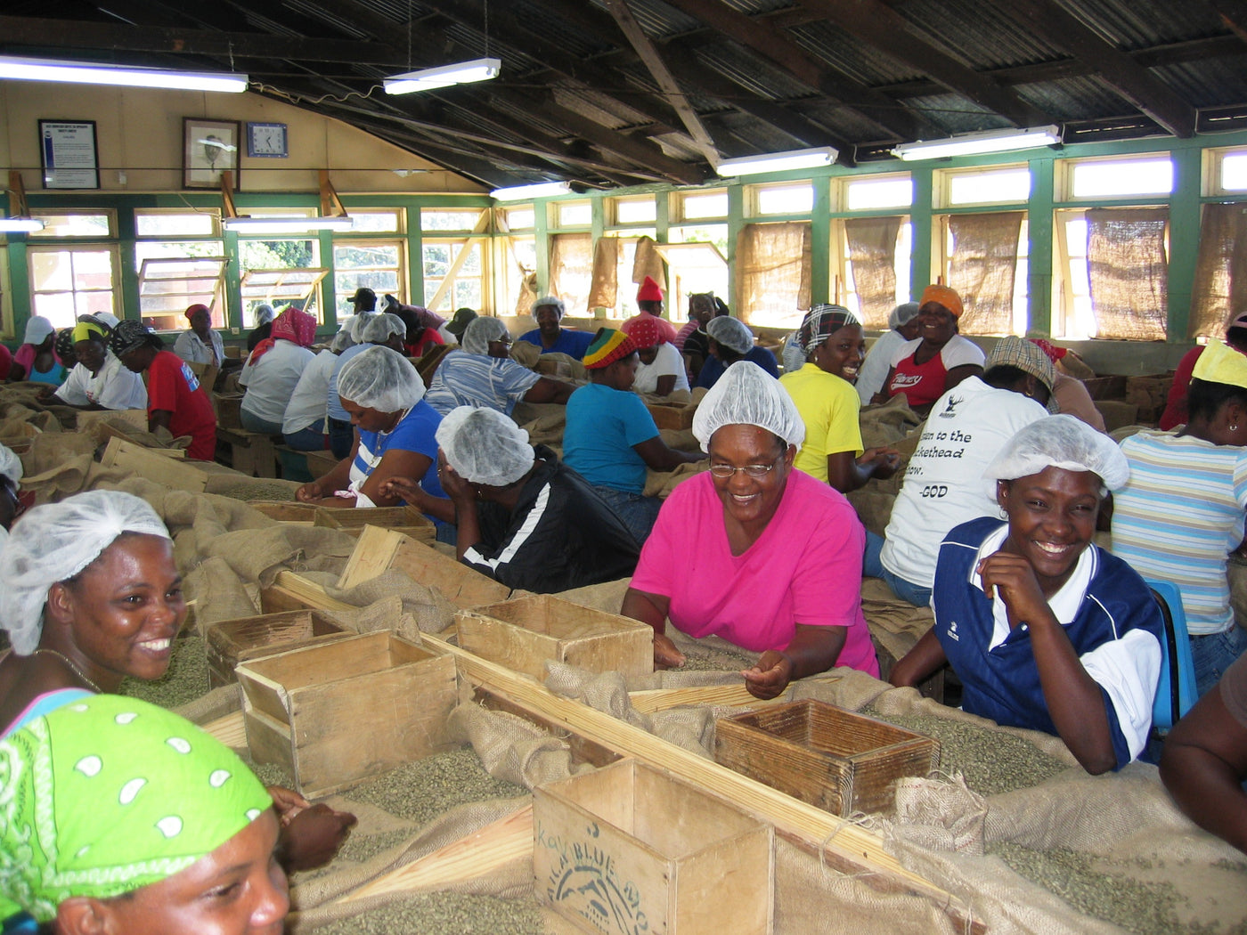 Farm workers sorting coffee beans in the Blue Mountains of Jamaica
