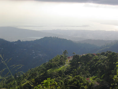 Landscape of the Blue Mountains in Jamaica