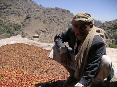 Haraz Mountains Mocha, Yemen - Green Bean - Sea Island Coffee