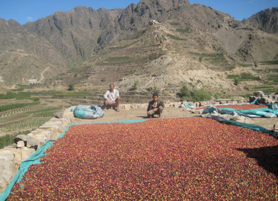 Haraz Mountains Mocha, Yemen - Green Bean-Sea Island Coffee
